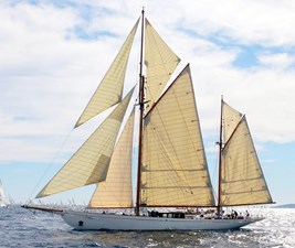 Black Swan Sails Deployed