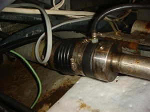 Bacchus III 43 44' Tollycraft port shaft seal