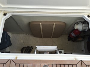 Lady Raine 28 Aft Deck
