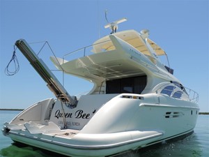 Queen Bee 40 