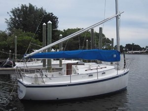 Shoshana 0 Profile