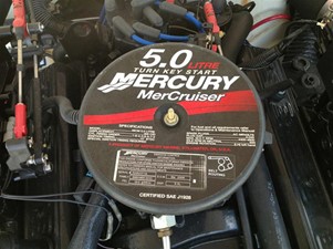 BAJA 202 ISLANDER 20 Mercury Mercruiser 5.0L Engine