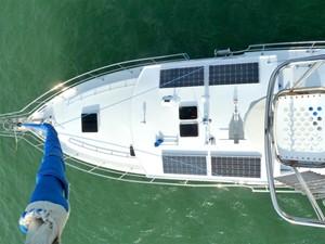 Diesel Duck 31 