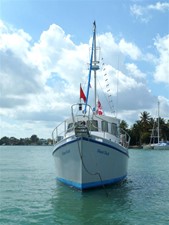 Diesel Duck 36 