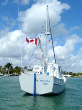 Diesel Duck 38 
