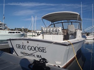 Gray Goose 9 Looking forward