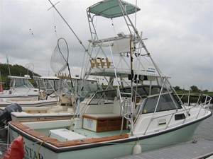 Profile
