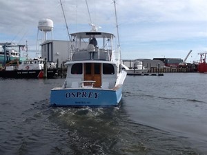 Osprey 13 