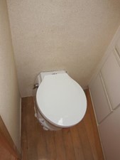 46ft 1995 Bertram 46 Convertible 48 Guest head