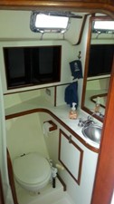 ANONYMOUS 22 Forward Head / Shower