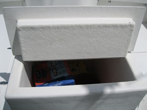 Nauti Gal 27 