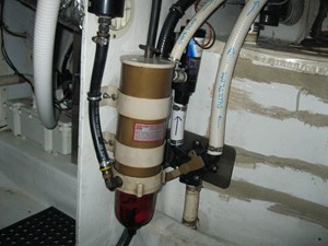 Nauti Gal 39 