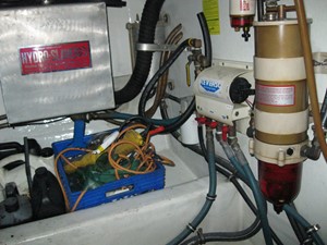 Nauti Gal 40 