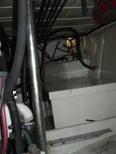 Nauti Gal 43 