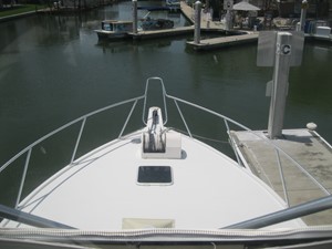Nauti Gal 50 