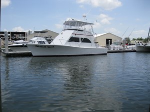 Nauti Gal 54 Profile