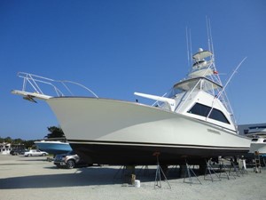 MULLET 30 Profile - Out of Water