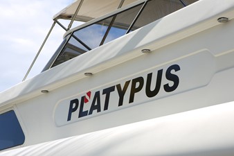 PLATYPUS 2 