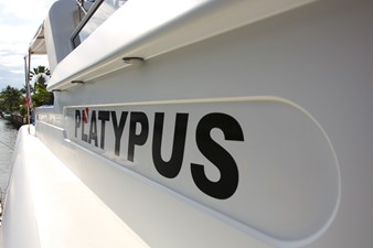 PLATYPUS 1 
