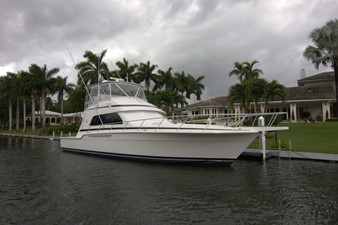 Sea Gull 12 
