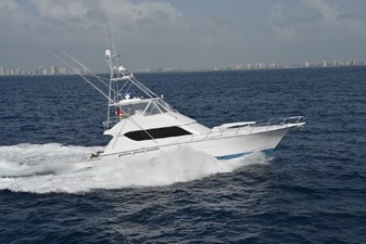 Fish N Chicks 0 