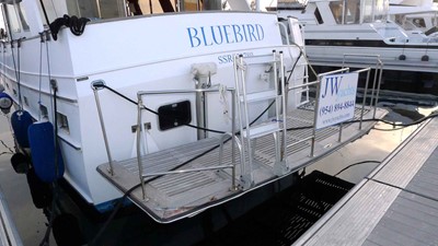 Blue Bird 46 Swim Platform