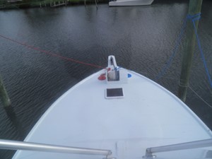 Bone Shaker 24 Bow