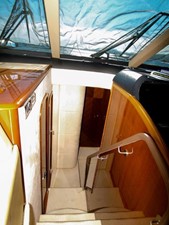 Alcyon 20 