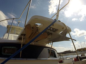 Manatee 36 Anchors
