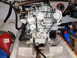 Sea Cow 40 Manatee 36 Generator