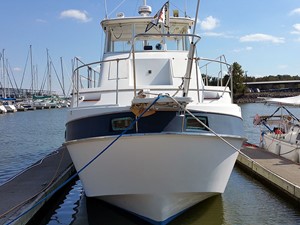 Manatee 36 Forward Profile