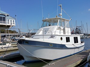 Manatee 36 Port Forward Profile