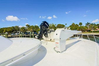 MAVERICK 41 Davit