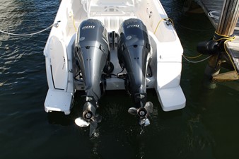 Hybrid Vigor 12 
