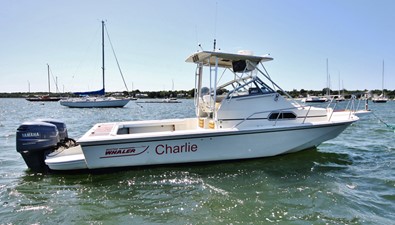 Charlie 1 