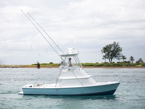 31 Bertram - Ace31 Bertram - Ace2U6A8193