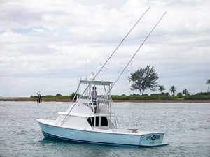 31 Bertram - Ace31 Bertram - Ace2U6A8264