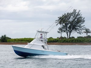 31 Bertram - Ace31 Bertram - Ace2U6A8295