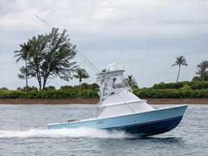 31 Bertram - Ace31 Bertram - Ace2U6A8337