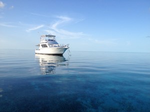 CHINA DOLL 31 Bahamas!
