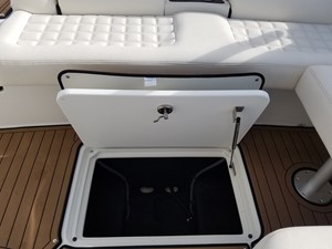 Cobalt R30 20 