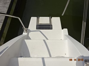 Hellcat 17 