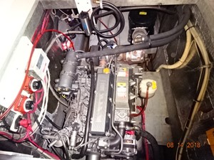 Hellcat 46 