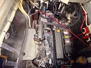 Hellcat 48 