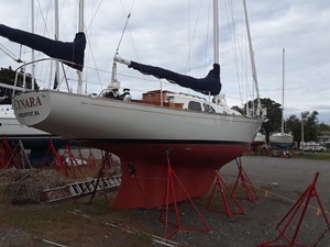 Cyanra 1 