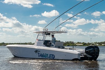 Tangled 28 