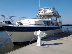 Obsession 37 