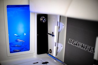 BLACKFIN 272 DC 9 Transom Insulated Seaaquarium