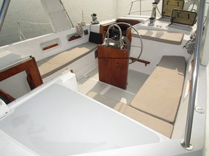 Dove 12 