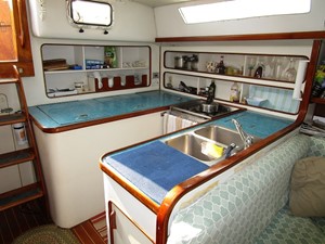 Dove 22 
